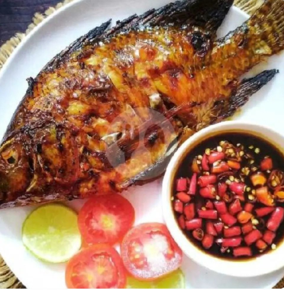 Nila Bakar