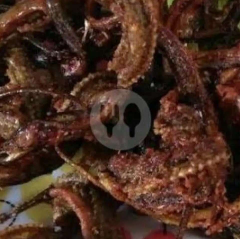 Belut Goreng